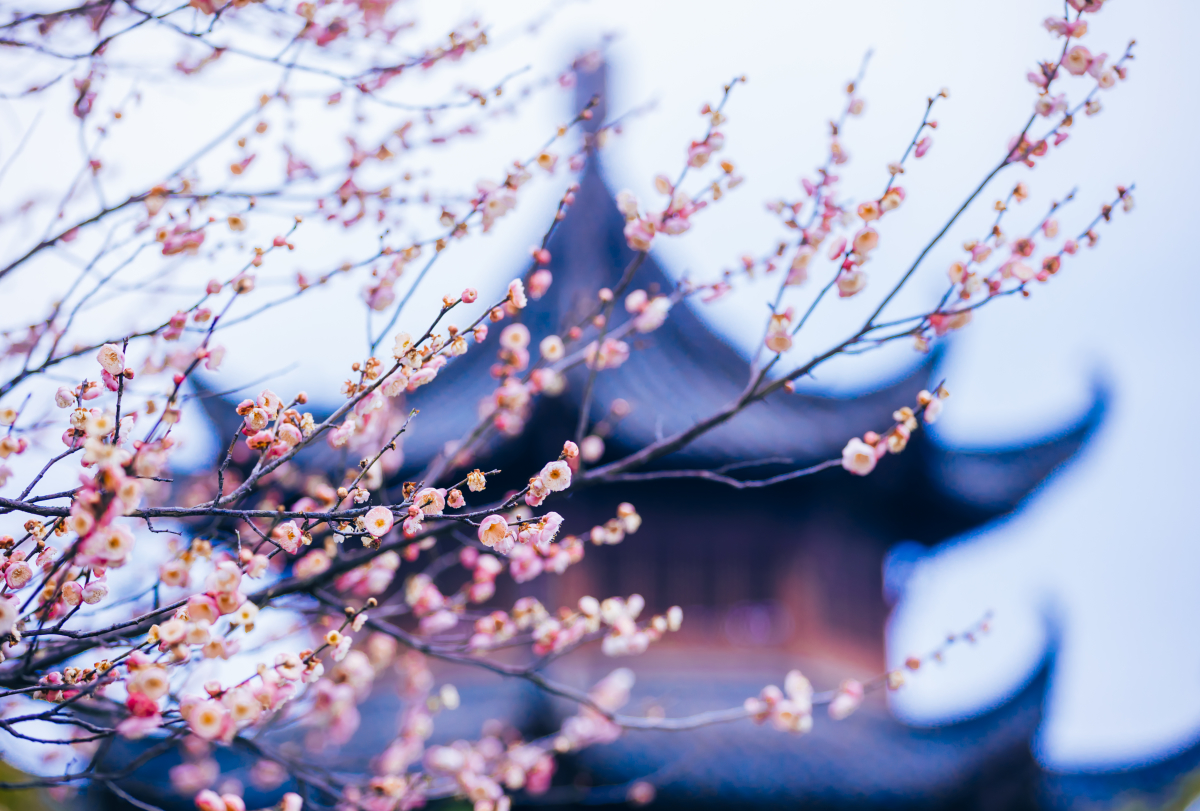 美翻了我的村第56期 | 安徽省黃山市潛口鎮潛口村：古韻潛口 秀美鄉村