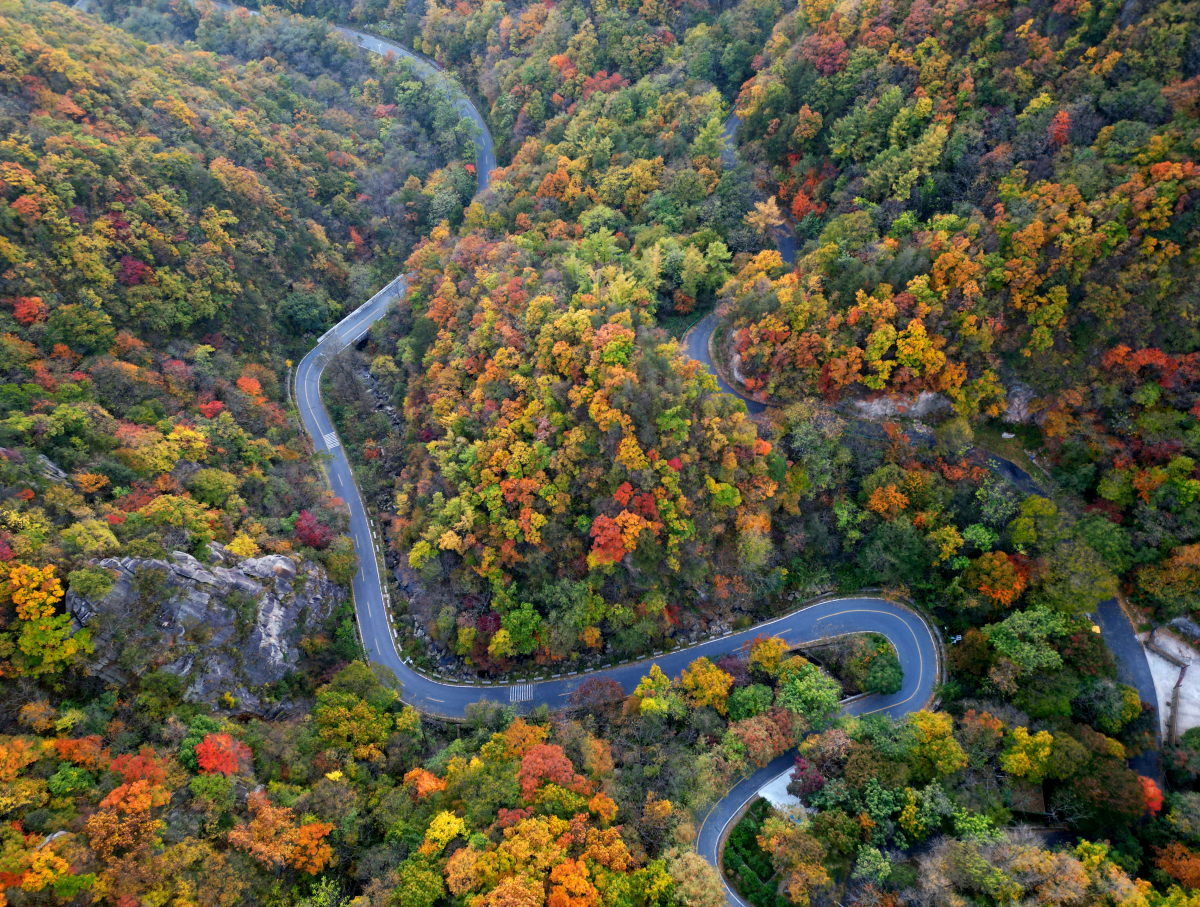 美翻了我的村第82期 | 河南省西峽縣太平鎮：大山深處有芬芳 文明鄉風沁人心