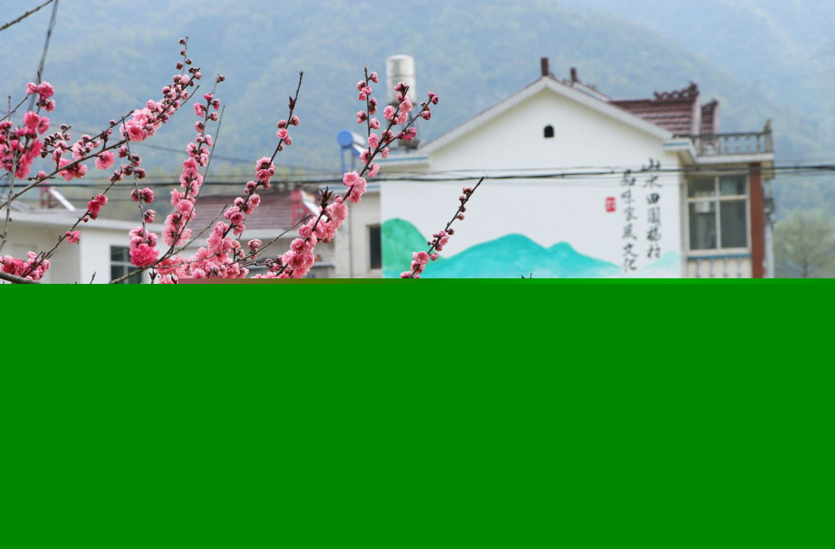 美翻了我的村第84期 | 安徽省池州市貴池區元四村：古村風韻 純樸民風